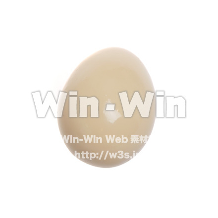 卵の写真素材 W-015907