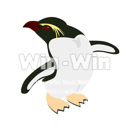 イワトビペンギンのCG・イラスト素材 W-014531