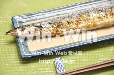 秋刀魚の写真素材 W-015579