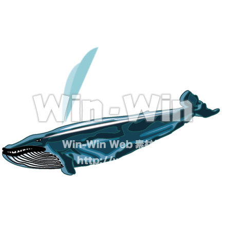 鯨のCG・イラスト素材 W-015609