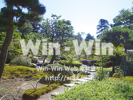 日本庭園の写真素材 W-015501
