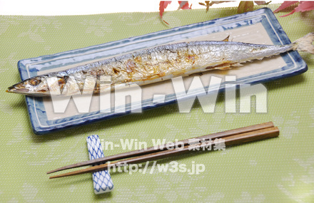秋刀魚の写真素材 W-015578