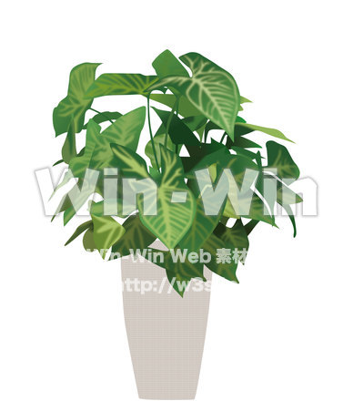 植物のCG・イラスト素材 W-015042