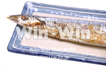 秋刀魚の写真素材 W-015581