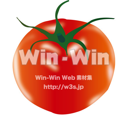 トマトのCG・イラスト素材 W-014686