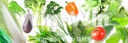 野菜イメージの背景の写真素材 W-014113
