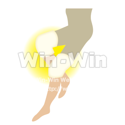 膝のCG・イラスト素材 W-015836