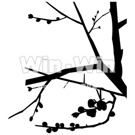 梅の木のシルエット素材 W-015456