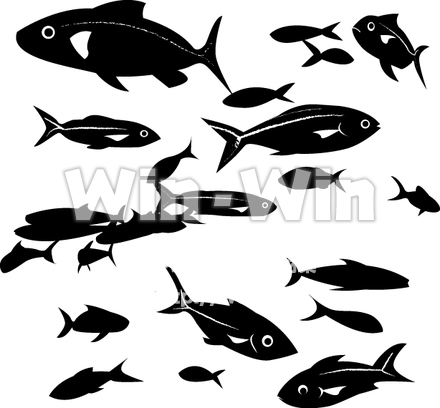 魚の大群のシルエット素材 W-016711