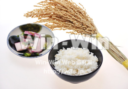 麦飯の写真素材 W-016271