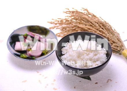 麦飯の写真素材 W-016272