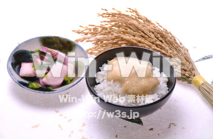 麦飯とろろご飯の写真素材 W-016266