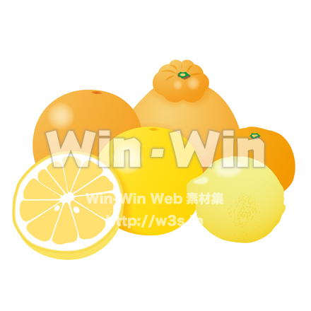 柑橘類のCG・イラスト素材 W-016383