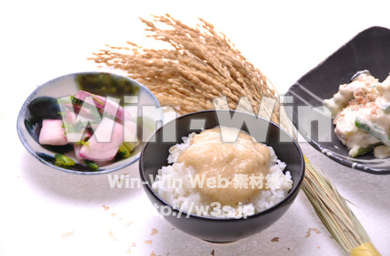麦飯とろろご飯の写真素材 W-016267