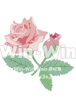 ローズ　花とつぼみのCG・イラスト素材 W-018570