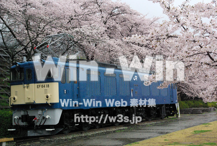 電車に桜の写真素材 W-018476