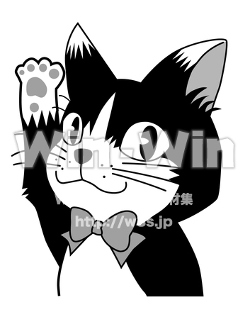黒猫のCG・イラスト素材 W-018514