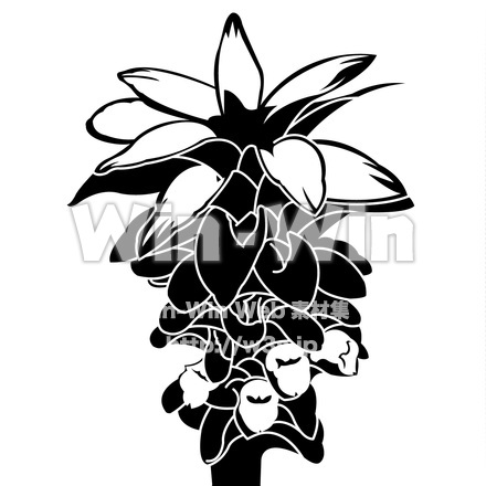 うこんの花のシルエット素材 W-018236