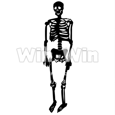 骨のシルエット素材 W-018295