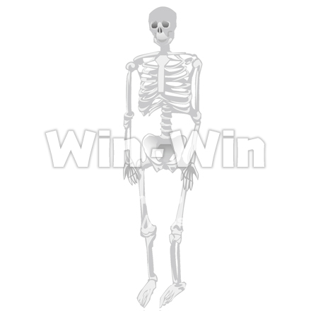 骨のCG・イラスト素材 W-019299