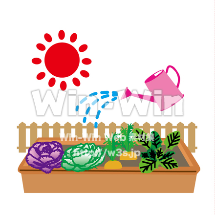 葉牡丹と野菜のCG・イラスト素材 W-019848