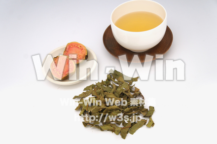 グァバ茶葉の写真素材 W-021142