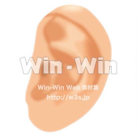 人の耳のCG・イラスト素材 W-021908