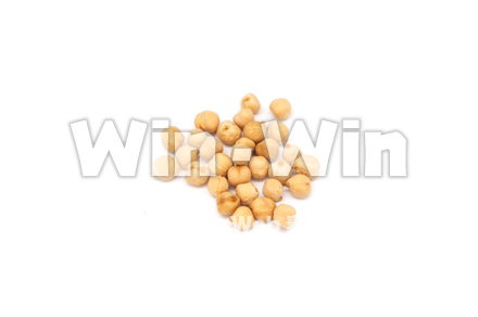 ひよこ豆の写真素材 W-021070