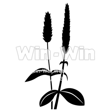チアシードの植物のシルエット素材 W-021257