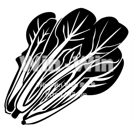 小松菜のシルエット素材 W-021240