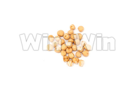 ひよこ豆の写真素材 W-021071