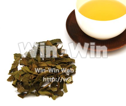 グァバ茶葉の写真素材 W-021143