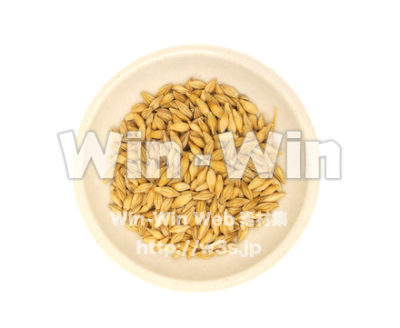 大麦の写真素材 W-022092