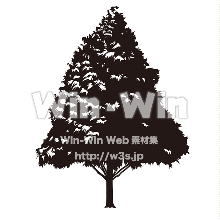 木　メタセコイアのシルエット素材 W-022818