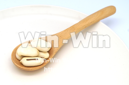 白なた豆の写真素材 W-022093