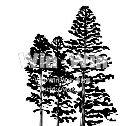 杉のシルエット素材 W-022163