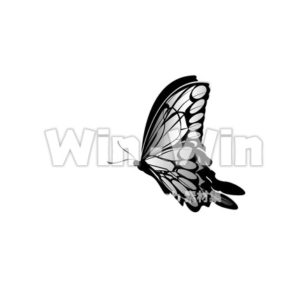 蝶のCG・イラスト素材 W-024611