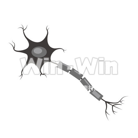 ニューロンのCG・イラスト素材 W-025908