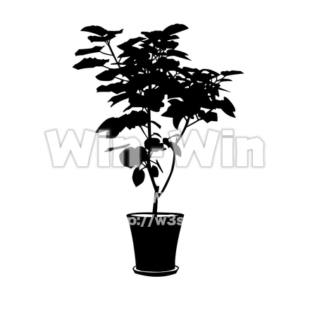 観葉植物のシルエット素材 W-024838