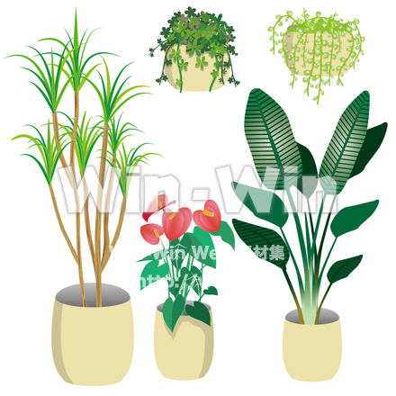 観葉植物５種のCG・イラスト素材 W-026954