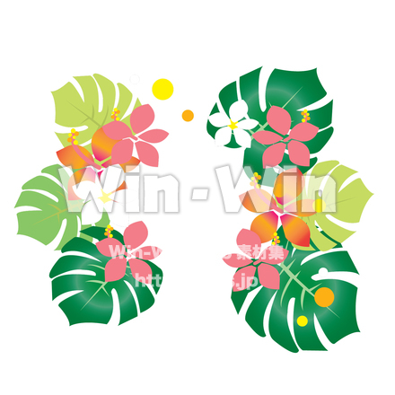 ハワイをイメージした花のイラストのCG・イラスト素材 W-026331