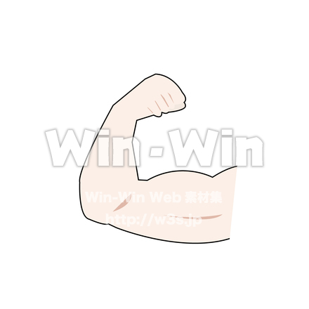 腕の筋肉のイラストのCG・イラスト素材 W-027065