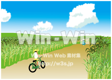 さとうきび畑のCG・イラスト素材 W-029578