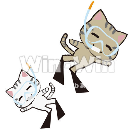 シュノーケルをする猫のCG・イラスト素材 W-028866