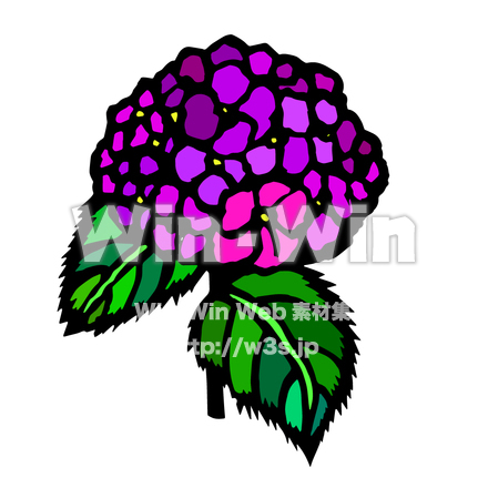紫陽花ピンクのCG・イラスト素材 W-028931