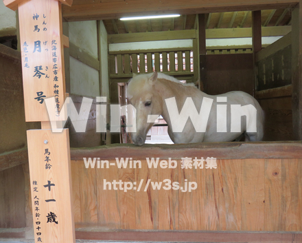 神馬月琴号の写真素材 W-030750