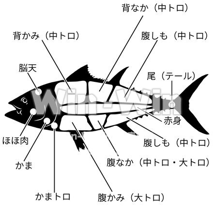 説明図イラストのシルエット素材 W-030439