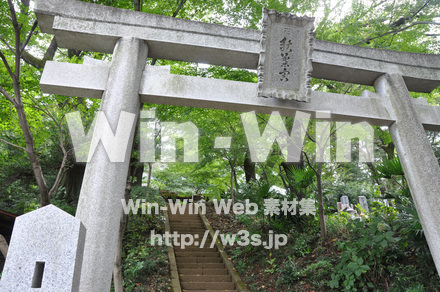 浄慶寺14の写真素材 W-002508