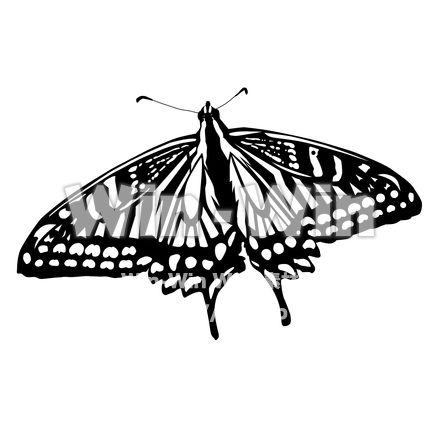 蝶のシルエット素材 W-002365