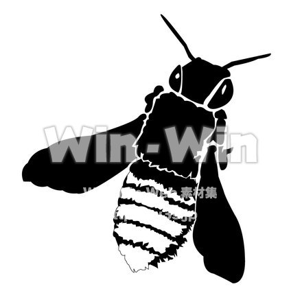 ハチのシルエット素材 W-003705